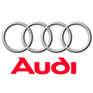 Nieuwe-Poort-Slotenmaker-Logo-audi-300px