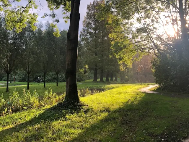 Nieuwe Poort Slotenmaker actief in Zoetermeer en omgeving